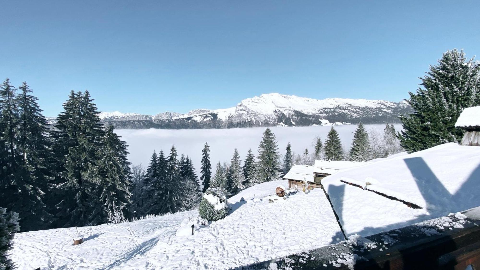 Hotel La Ferme Des Vonezins Thônes Exteriér fotografie