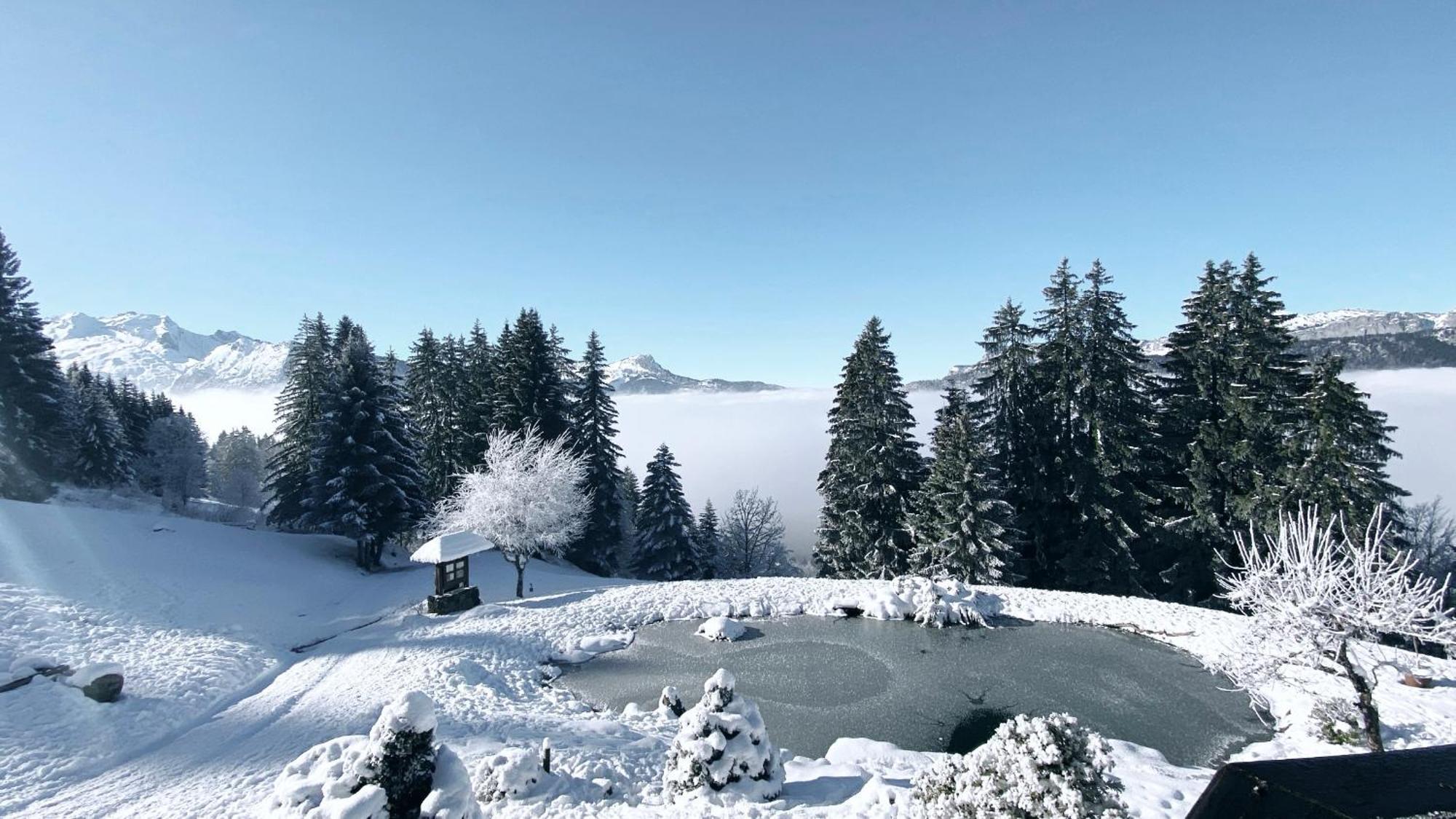 Hotel La Ferme Des Vonezins Thônes Exteriér fotografie