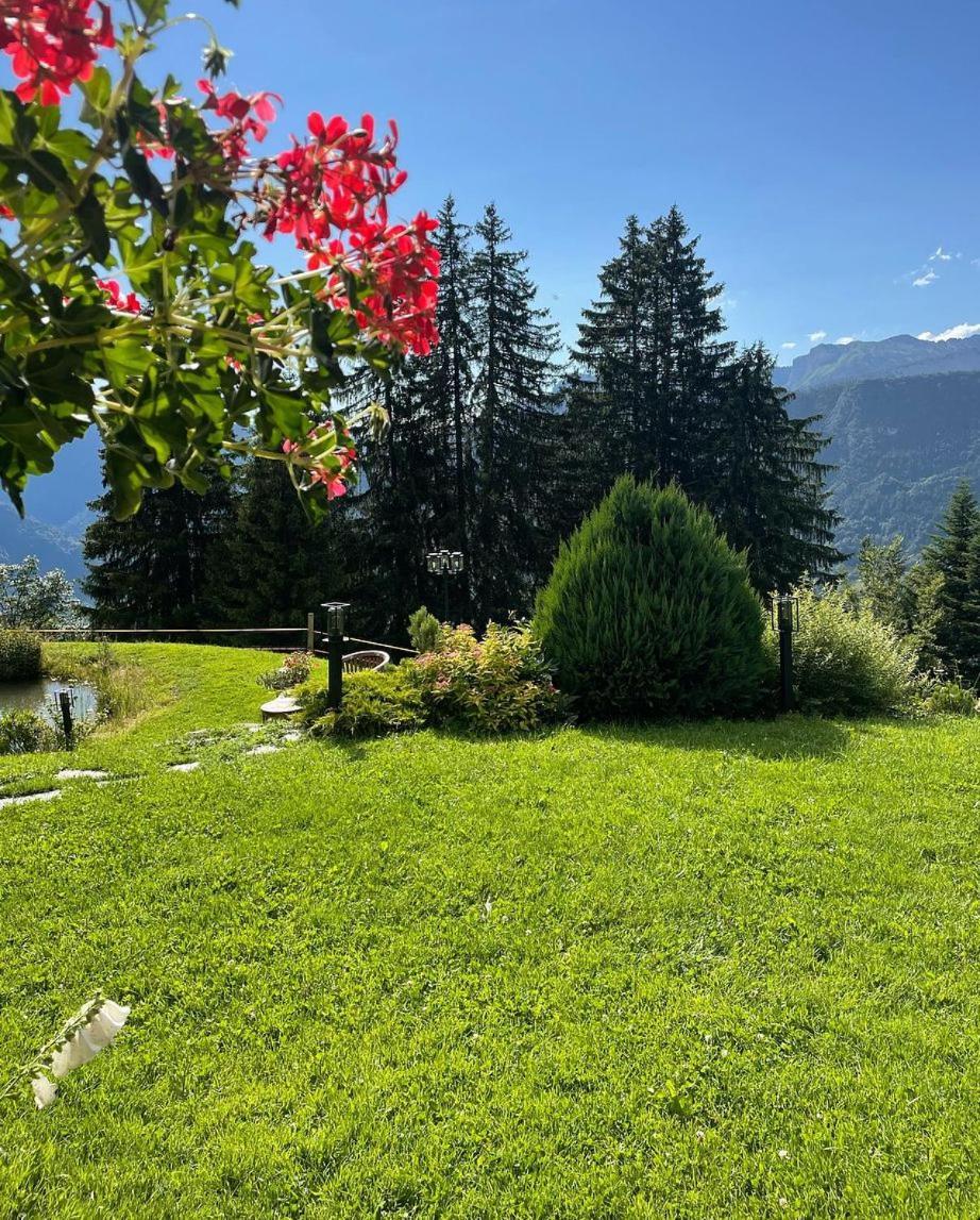 Hotel La Ferme Des Vonezins Thônes Exteriér fotografie